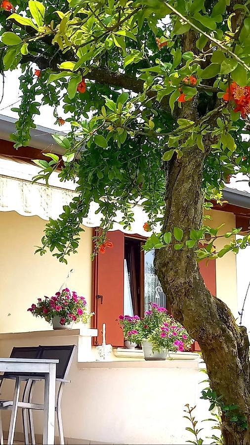 Villa Ama Pordenone Buitenkant foto